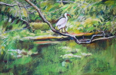 Into the wood. White Heron