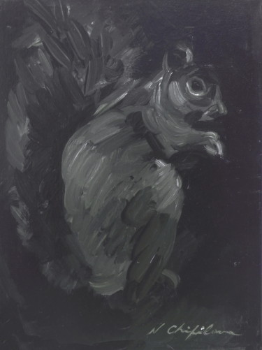 Ecureuil noir