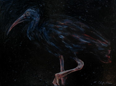 Ibis noir